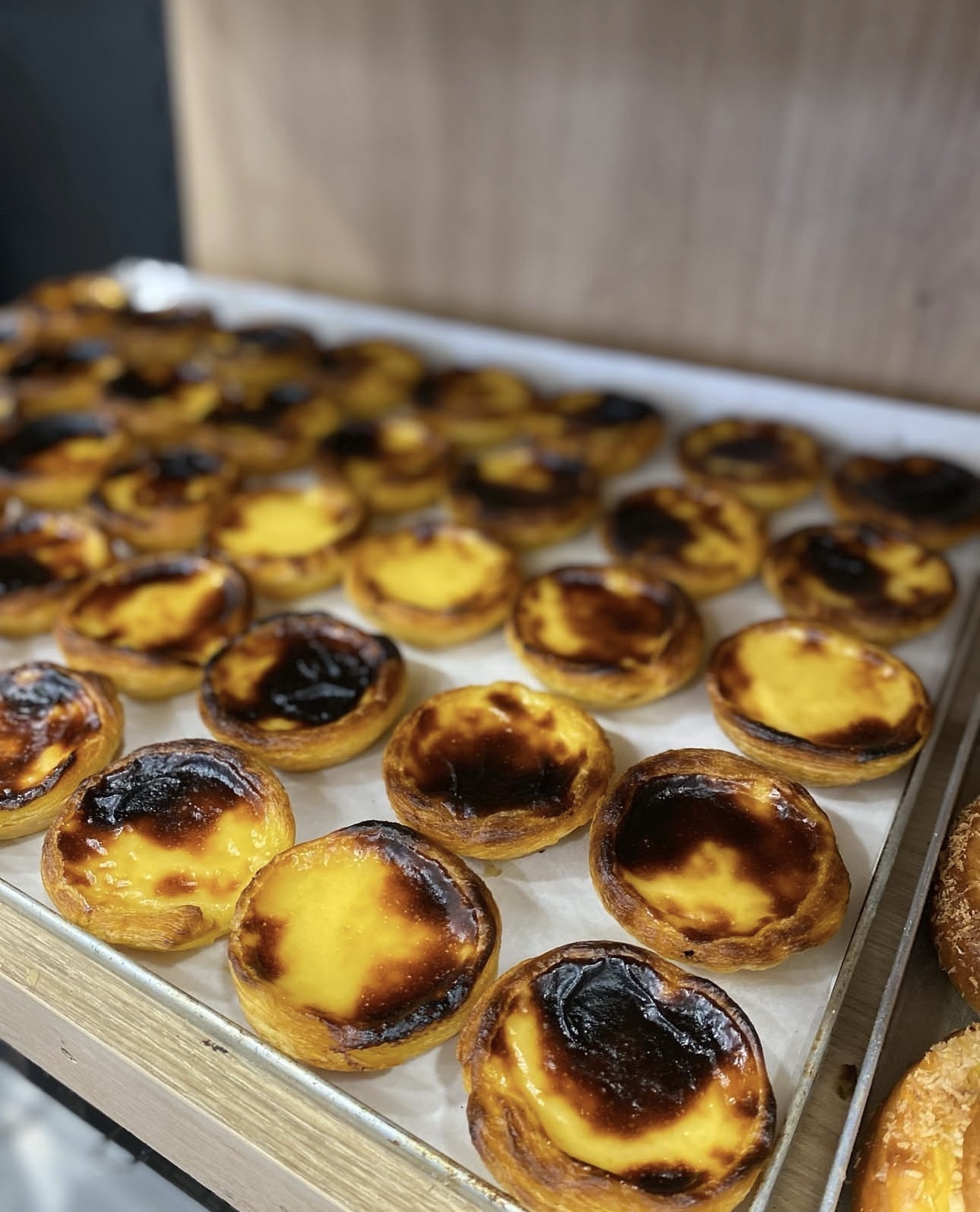 Tabuleiro de pastéis de nata acabados de assar